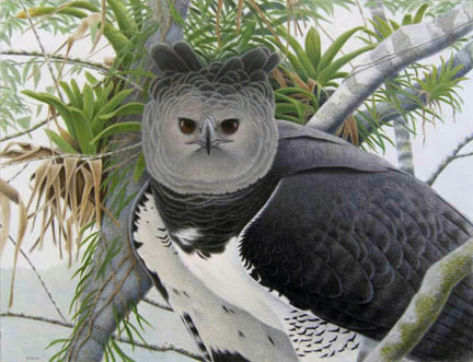 a stunning harpy eagle. The art nouveau-inspired piece emanates